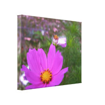 Wilde Blumen im Garten Gespannter Galeriedruck