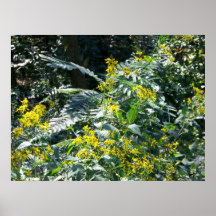 Wilde Blumen Poster