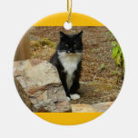 Wilde Katze Momma Weihnachtsbaum Ornamente