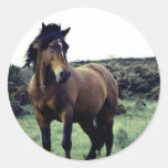 Wilde Mustang-Aufkleber