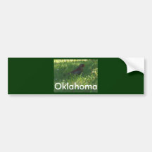 wilder Vogel (Oklahoma) Autosticker