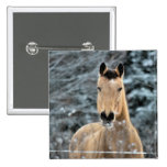 Wildleder-Pferdewinter Buttons