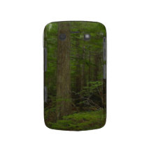 Wildnis-Waldnatur-Landschafts-BlackBerry-Kasten Blackberry Case