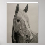 Winde Plakatdruck