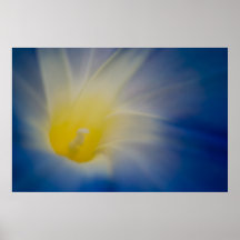 Winde Posterdruck