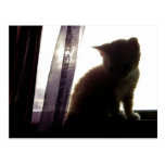 Windowsill III Postkarte