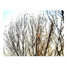 Winter-Baum-Postkarte