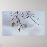Winter-Baum und Himmel-Foto-Plakat