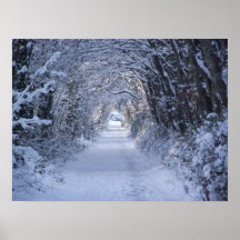 Winter-bewaldete Straße Plakat