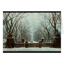 Winter Central Park NY Vintages c1910 Karten