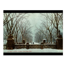 Winter Central Park NY Vintages c1910 Postkarte