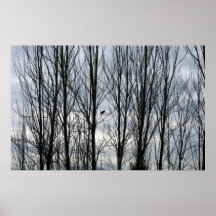 Winter-Krähe Plakatdrucke