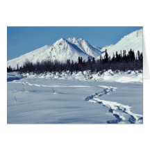 Winter-Landschaft Karte