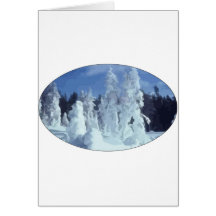 Winter-Märchenland Grußkarten