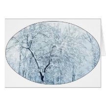 Winter-Märchenland Grußkarten