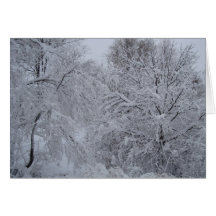 Winter-Märchenland Grußkarten