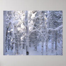 Winter-Ruhe Posterdrucke