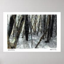 Winter-Schatten Plakat
