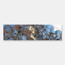 Winter Snowberry-Blume mit Schneeflocken autoaufkleber
