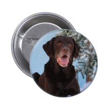 Winter-Spiele Labrador retriever Anstecknadelbuttons