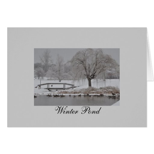 Winter-Teich Grußkarte