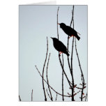 Winter-Vogel-Karte