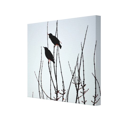 Winter-Vogel-Leinwand Gespannte Galerie Drucke