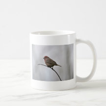 Winter-Vögel Tee Tassen