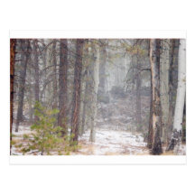 Winter-Weg Postkarten