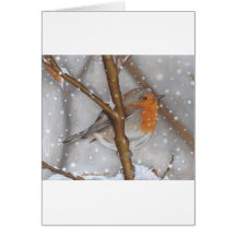 Winter-Wunder Karten