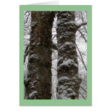 Winterholzszenen-Grußkarte