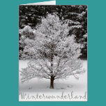 Wintermärchenland karten