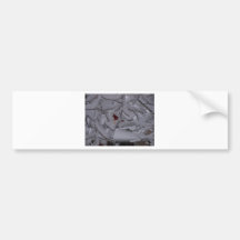 winterstorm2010 (roter Vogel) Autosticker