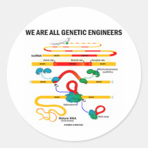 Wir sind alle genetische Ingenieure (RNS Verstärke Runder Aufkleber