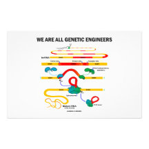 Wir sind alle genetische Ingenieure (RNS Verstärke Personalisierte Druckpapiere