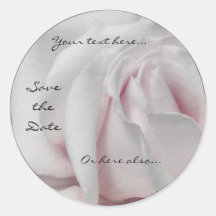 Wirble blasse weiße und rosa Rosen-Hochzeits-Aufkl