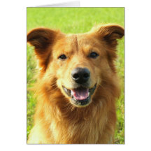 WJ Hundeentwurf Karte