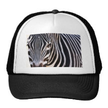 Wo ist der Zebra? Kappe