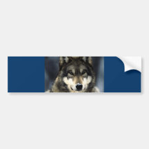 Wolf Auto Sticker