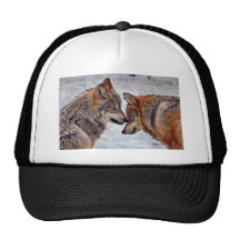 Wolf "der meine" Ball-Kappe ist