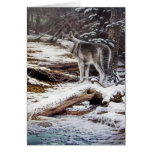 Wolf-Gruß-Karten
