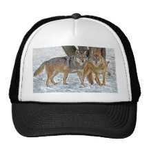 Wolf-Paar-Ball-Kappe