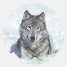 Wolf Sticker