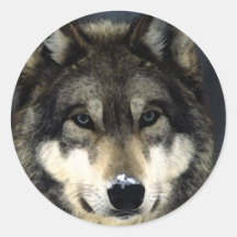 Wolf Sticker