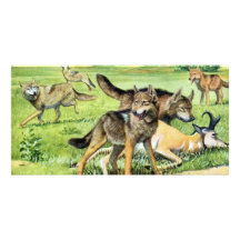 Wolf und Kojote Individuelle Photo Karte