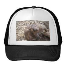 Wombat Kratzer Kappe
