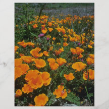 Wüsten-Blumen Vollfarbige Flyer