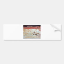 WÜSTEN-PFERDElaufendes Hochzeitsgeschenk Auto Sticker