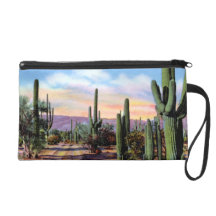 Wüsten-Szene Arizonas Sonoran