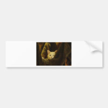 wyspur1 auto sticker